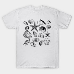 Vintage Seashells Illustration T-Shirt